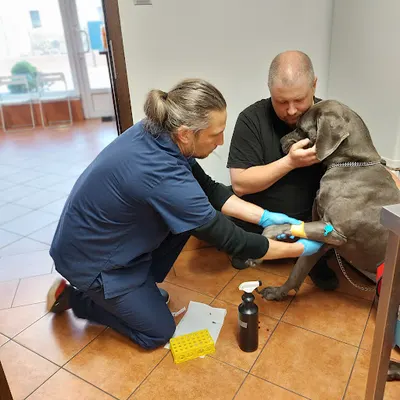 Leszczyńskie Centrum Weterynaryjne "Misiu"